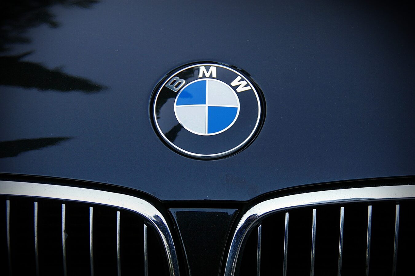 BMW-Logo-auf-Motorhaube