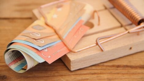 Mausefalle zugeschnappt mit Geldscheinen